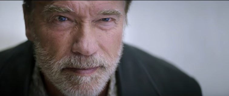 Arnold Schwarzenegger - Aftermath